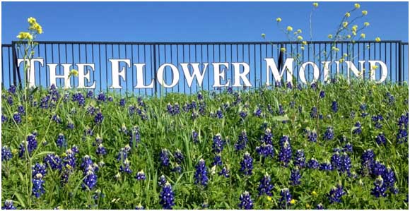 Town of Flower Mound